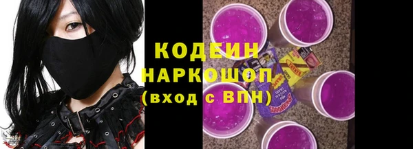 ECSTASY Алзамай