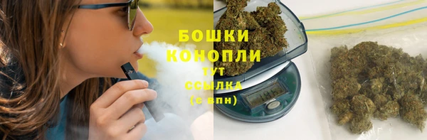дмт Пестово