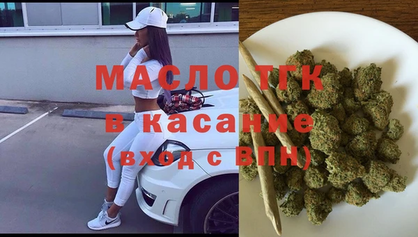 ECSTASY Алзамай