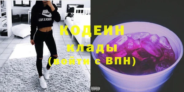 ECSTASY Алзамай