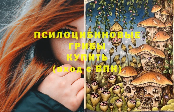 кокс Алексеевка