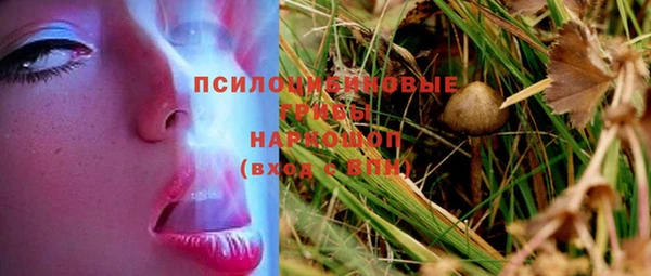 ECSTASY Алзамай
