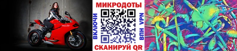 Галлюциногенные грибы мухоморы  где купить наркоту  Калининград 