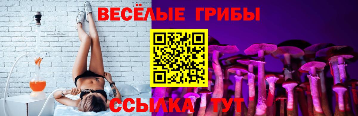 Галлюциногенные грибы Cubensis  Вход с VPN  Калининград 